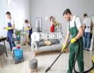 Cleaning Services